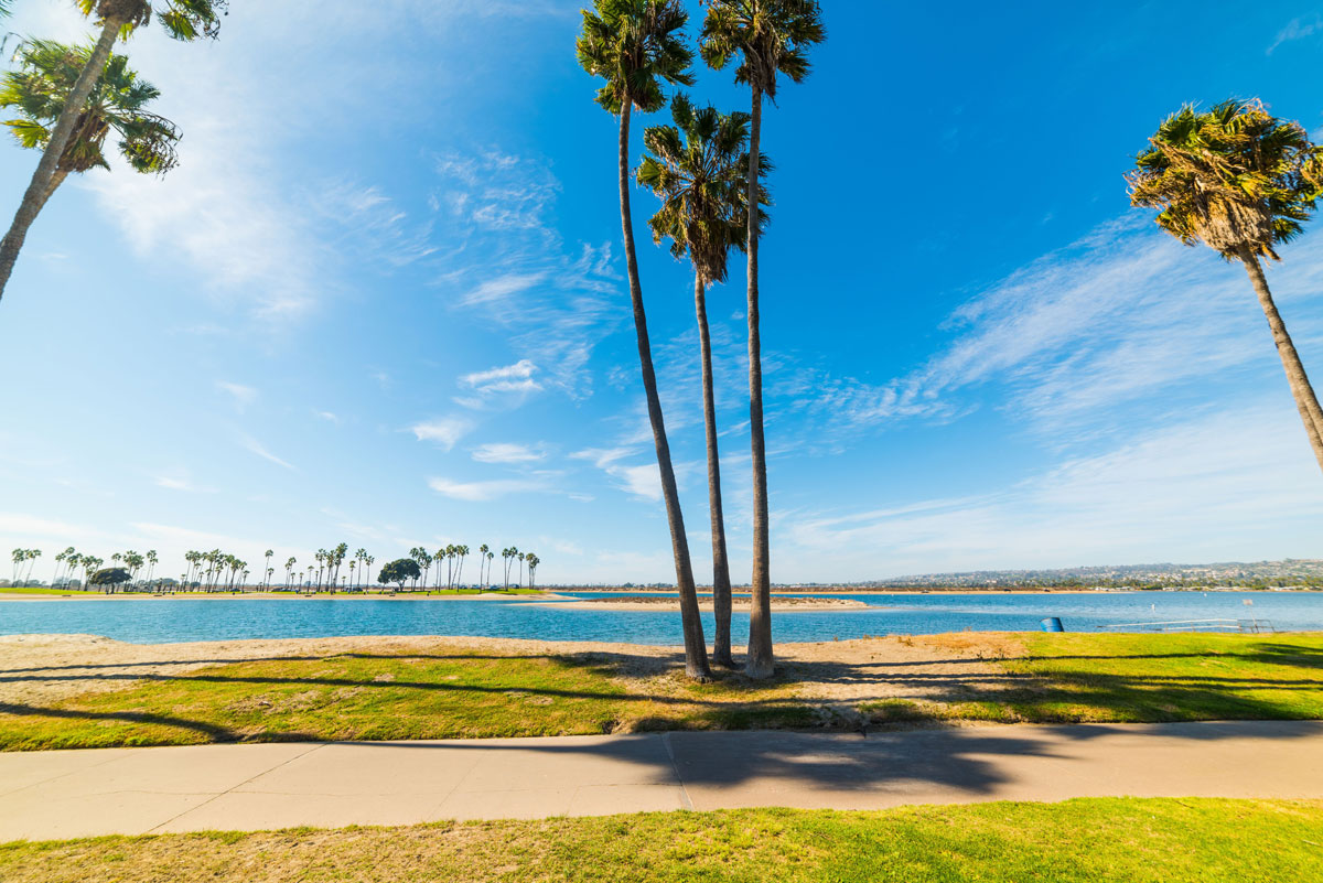Bill Luther Vacation Rentals Palm Trees